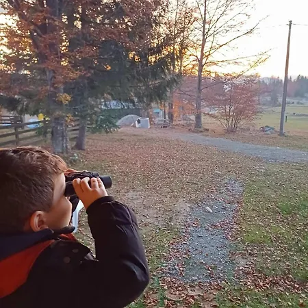 Ferienhaus Brvnara Smrcica